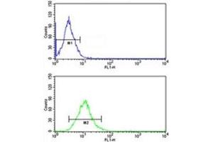 Flow Cytometry (FACS) image for anti-Activated Leukocyte Cell Adhesion Molecule (ALCAM) (AA 58-87) antibody (ABIN3029841)