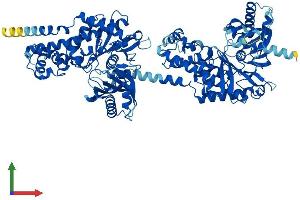 AlphaFold protein structure predicition of Human Recombinant HKDC1 Protein, UniprotID Q2TB90