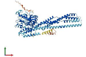 Protein Structure (PS) image for Guanylate Binding Protein 4 (GBP4) (AA 1-640) protein (His tag) (ABIN7547888)