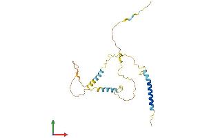 Protein Structure (PS) image for BCL2/adenovirus E1B 19kDa Interacting Protein 3-Like (BNIP3L) (AA 1-219) protein (His tag) (ABIN7552879)