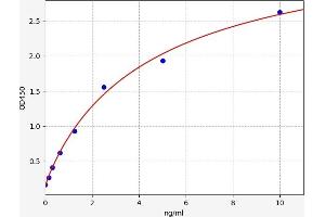 Typical standard curve (DCLK1 ELISA 试剂盒)