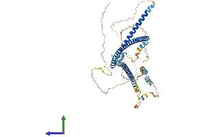 AlphaFold protein structure predicition of Human Recombinant CCDC125 Protein, UniprotID Q86Z20