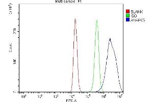 Flow Cytometry analysis of 293T cells using anti-Apc5/ANAPC5 antibody (ABIN7599186). (ANAPC5 抗体  (AA 1-266))