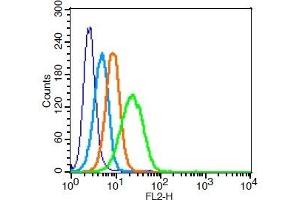 U937 cells probed with 	ADAM17 Polyclonal Antibody, Unconjugated  at 1:100 for 30 minutes followed by incubation with a PE conjugated secondary (green) for 30 minutes compared to control cells (blue), secondary only (light blue) and isotype control (orange). (ADAM17 抗体  (AA 201-300))