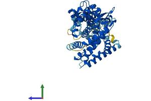 Protein Structure (PS) image for Cytochrome P450, Family 20, Subfamily A, Polypeptide 1 (CYP20A1) (AA 1-462) protein (His tag) (ABIN7546713)