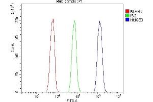 anti-High Mobility Group Box 3 (HMGB3) (AA 62-95), (N-Term) antibody
