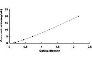 Typical standard curve (TPM3 ELISA 试剂盒)