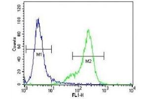 Flow Cytometry (FACS) image for anti-Ubiquitin Carboxyl-terminal Esterase L1 (Ubiquitin Thiolesterase) (UCHL1) (AA 187-216) antibody (ABIN3029422)
