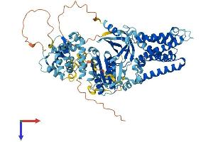 Protein Structure (PS) image for NADPH Oxidase 5 (NOX5) (AA 1-765) protein (His tag) (ABIN7554783)