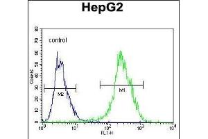 NR0B2 Antibody (Center) (ABIN655027 and ABIN2844658) flow cytometric analysis of HepG2 cells (right histogram) compared to a negative control cell (left histogram). (NR0B2 抗体  (AA 56-83))