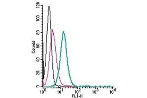 Cell surface detection of GPR68 in live intact human HL-60 acute promyelocytic leukemia cells: (black line) Cells. (GPR68 抗体  (Extracellular) (FITC))