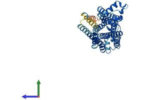 AlphaFold protein structure predicition of Mouse Recombinant Taar7d Protein, UniprotID Q5QD10 (Taar7d Protein (AA 1-358) (His tag))