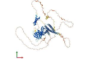 Protein Structure (PS) image for Actin Filament Associated Protein 1 (AFAP1) (AA 1-731) protein (His tag) (ABIN7558443)