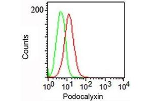 FACS surface staining of NCCIT cells with Podocalyxin antibody (PODXL 抗体  (Extracellular Domain))