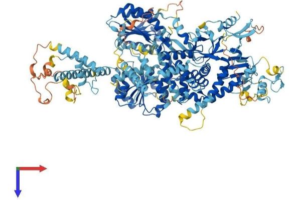 DHX34 Protein (AA 1-1143) (His tag)