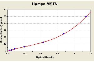 Myostatin (MSTN) ELISA Kit
