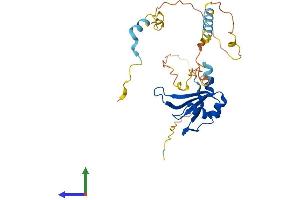 Protein Structure (PS) image for Poly(A) Binding Protein, Nuclear 1-Like (Cytoplasmic) (PABPN1L) (AA 1-273) protein (His tag) (ABIN7557570)