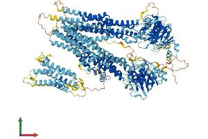 Protein Structure (PS) image for ATP-Binding Cassette, Sub-Family C (CFTR/MRP), Member 10 (ABCC10) (AA 1-1501) protein (His tag) (ABIN7564713)