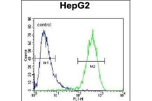 Flow Cytometry (FACS) image for anti-ATP-Binding Cassette, Sub-Family C (CFTR/MRP), Member 10 (ABCC10) (AA 767-793) antibody (ABIN654102)