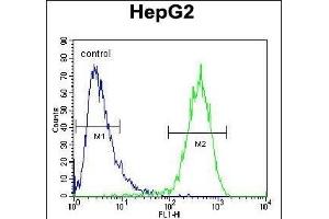 ABCC10 Antibody (Center) (ABIN654102 and ABIN2843986) flow cytometric analysis of HepG2 cells (right histogram) compared to a negative control cell (left histogram). (ABCC10 抗体  (AA 767-793))