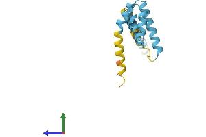 Protein Structure (PS) image for Mitochondrial Import Receptor Subunit TOM20 homolog (TOMM20) (AA 1-145) protein (His tag) (ABIN7561329)