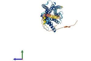 AlphaFold protein structure predicition of Human Recombinant TACR1 Protein, UniprotID P25103
