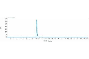 The purity of Anti-TNFRSF4 / OX40 / CD134 Reference Antibody (BMS-986178) is more than 95 % , determined by SEC-HPLC.