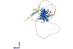 Protein Structure (PS) image for Tubby Homolog (TUB) (AA 1-506) protein (His tag) (ABIN7544793)