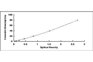 Typical standard curve (Decorin ELISA 试剂盒)