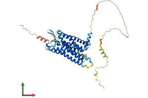 AlphaFold protein structure predicition of Mouse Recombinant Gpr151 Protein, UniprotID Q7TSN6