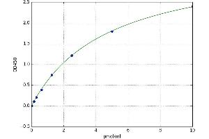 Neuritin 1 (NRN1) ELISA Kit