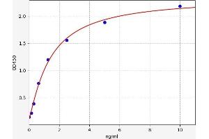 Typical standard curve (ROBO4 ELISA 试剂盒)