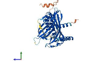AlphaFold protein structure predicition of Human Recombinant ACOT7 Protein, UniprotID O00154