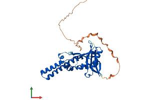 Protein Structure (PS) image for N-Acetyltransferase 8-Like (GCN5-Related, Putative) (NAT8L) (AA 1-299) protein (His tag) (ABIN7557189)