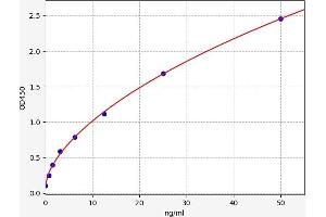 JAK1 ELISA 试剂盒