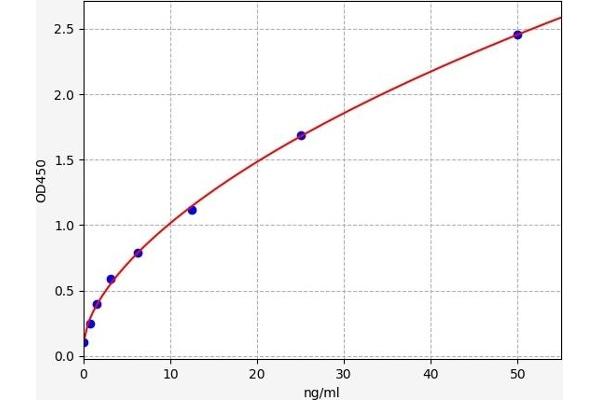 JAK1 ELISA 试剂盒