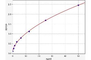 Typical standard curve (JAK1 ELISA 试剂盒)