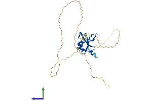 Protein Structure (PS) image for RNA Binding Motif Protein 7 (RBM7) (AA 1-266) protein (His tag) (ABIN7551189)