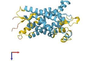 Solute Carrier Family 25 (Mitochondrial Carrier, Dicarboxylate Transporter), Member 10 (SLC25A10) (AA 1-287) protein (His tag)