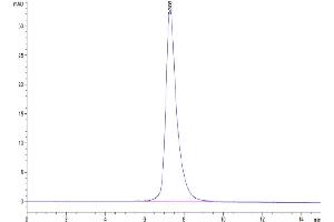 The purity of Human IL-22R alpha 1&IL-10R beta is greater than 95 % as determined by SEC-HPLC.