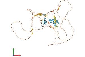 AlphaFold protein structure predicition of Human Recombinant KLF11 Protein, UniprotID O14901 (KLF11 Protein (AA 1-512) (His tag))