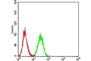 Flow cytometric analysis of Ramos cells using CD172A mouse mAb (green) and negative control (red). (SIRPA 抗体  (AA 235-373))