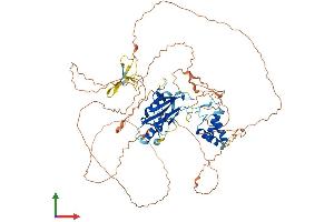 Protein Structure (PS) image for CDKN2A Interacting Protein (CDKN2AIP) (AA 1-725) protein (His tag) (ABIN7553030)