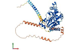Protein Structure (PS) image for Carbohydrate (N-Acetylgalactosamine 4-0) Sulfotransferase 9 (CHST9) (AA 1-443) protein (His tag) (ABIN7553497)