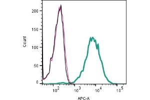 Cell surface detection of NaVβ4 by indirect flow cytometry in live intact human Jurkat T-cell leukemia cell line: + goat-anti-rabbit-APC. (SCN4B 抗体  (Extracellular))