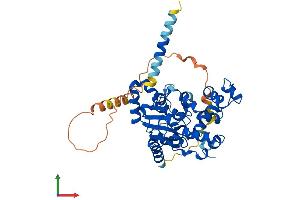 Protein Structure (PS) image for Carbohydrate (Chondroitin 4) Sulfotransferase 12 (CHST12) (AA 1-419) protein (His tag) (ABIN7560377)
