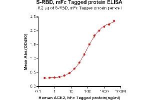 ELISA plate pre-coated by 2 μg/mL (100 μL/well) S-RBD, mFc tagged protein (ABIN6961175) can bind Human ACE2, hFc Tagged protein(ABIN6961131) in a linear range of 7. (SARS-CoV-2 Spike Protein (RBD) (mFc Tag))