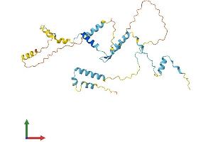 AlphaFold protein structure predicition of Mouse Recombinant Hyls1 Protein, UniprotID Q9CXX0 (HYLS1 Protein (AA 1-307) (His tag))