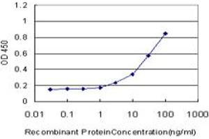 Detection limit for recombinant GST tagged NHLH2 is approximately 1ng/ml as a capture antibody. (NHLH2 抗体  (AA 36-135))