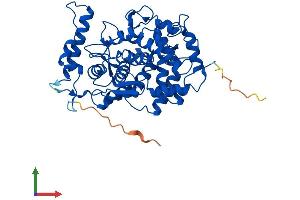 AlphaFold protein structure predicition of Human Recombinant FNTB Protein, UniprotID P49356